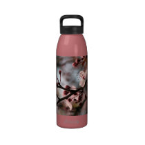 Botella rosada de la libertad de la flor de cerezo botellas de agua