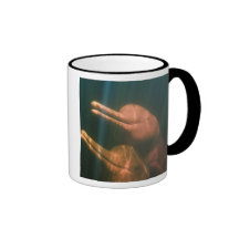 Boto, o delfín del río Amazonas (geoffrensis de In Tazas