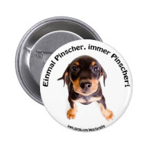 Botón alemán de la fan del Pinscher
