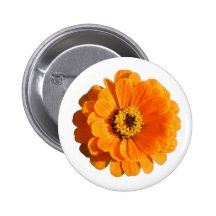 Botón anaranjado de la flor pins