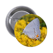 Botón azul del Wildflower de la mariposa Pin