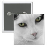 Botón blanco del gato pins