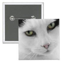 Botón blanco del gato pins