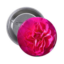 Botón color de rosa fucsia pin
