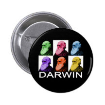 Botón de Darwin del arco iris Pin