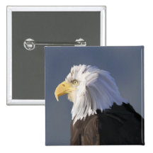 Botón de Eagle Pin