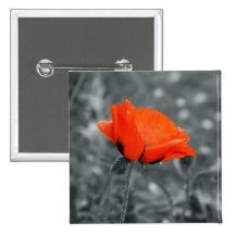 Botón de la amapola de la llave de color pin