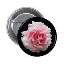 Botón de la belleza del Peony - negro Pins