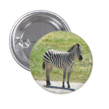 Botón de la cebra pins