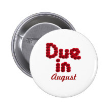 Botón de la deuda en agosto pin