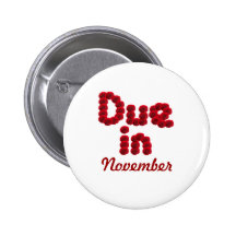 Botón de la deuda en noviembre pin