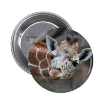 Botón de la jirafa pins