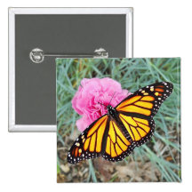 Botón de la mariposa de monarca pin