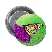 Botón de la mariposa de monarca pins