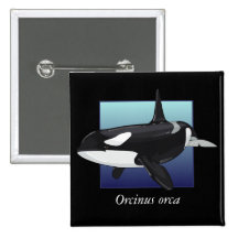 Botón de la orca, cuadrado pins