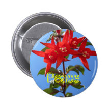 Botón de la paz pin
