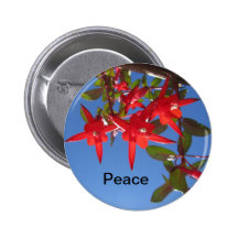 Botón de la paz pins