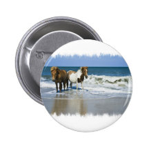 Botón de la playa del caballo pins