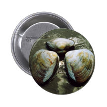 Botón de las almejas pin
