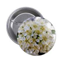Botón de las flores pins
