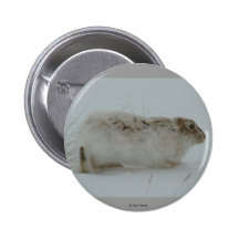 Botón de las liebres de raqueta R0007 Pin