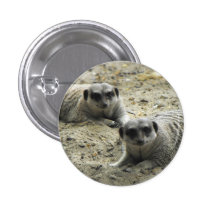 Botón de Meerkats Pins