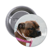 Botón de Staffordshire bull terrier Pins