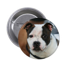 Botón de Staffordshire bull terrier Pins