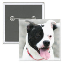 Botón de Staffordshire Terrier americano Pin