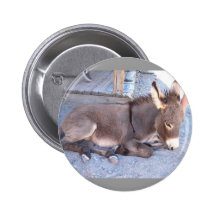 BOTÓN DEL BURRO DEL BEBÉ PINS