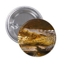 Botón del cocodrilo pins