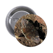 Botón del ~ de la mariposa de Duskywing Pin