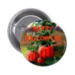 Botón del feliz Halloween de la caída Pins