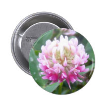 Botón del flor 1 del trébol híbrido pin