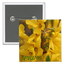 ¡Botón del Forsythia! Pins
