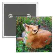 Botón del Fox rojo Pin