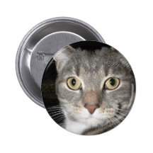 Botón del gatito pins