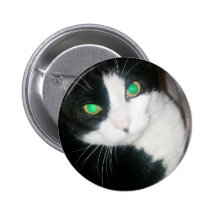 Botón del gato pin