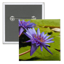 Botón del lirio de agua pins