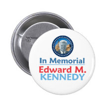 Botón del monumento de Ted Kennedy Pins