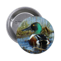 Botón del pato cuchara septentrional B0025 Pin
