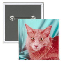 Botón del pedigrí del gato pins