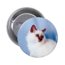 Botón del pedigrí del gato pins