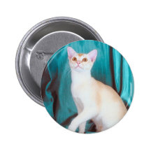 Botón del pedigrí del gato pins