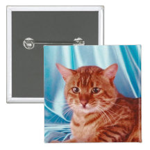 Botón del pedigrí del gato pins