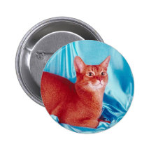 Botón del pedigrí del gato pins