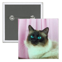 Botón del pedigrí del gato pins