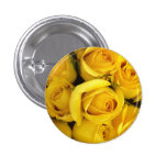 Botón del rosa amarillo pin