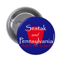 Botón del senado de Joe SESTAK Pins