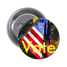 Botón del voto pins